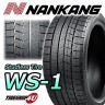 265/50R20 Nankang WS-1